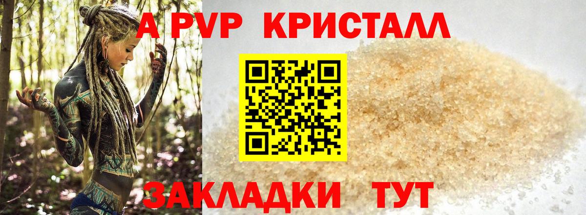 Кизилюрт  Alfa_PVP СК КРИС  Альфа ПВП СК  купить  цена  Вход с VPN 