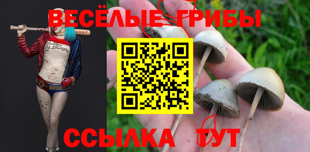 Галлюциногенные грибы прущие грибы Кизилюрт